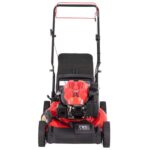 Craftsman M220C 21 in. 163 cc Gas Self-Propelled Lawn Mower